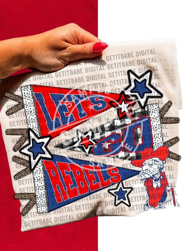 SEC PENNANTS BUNDLE COLLEGE SPORTS