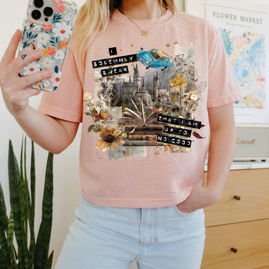 I Solemnly Swear Collage