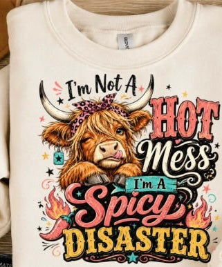 I’M NOT A HOT MESS I’M A SPICY DISASTER