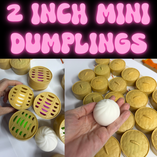 Mystery Mini Dumpling Squishies