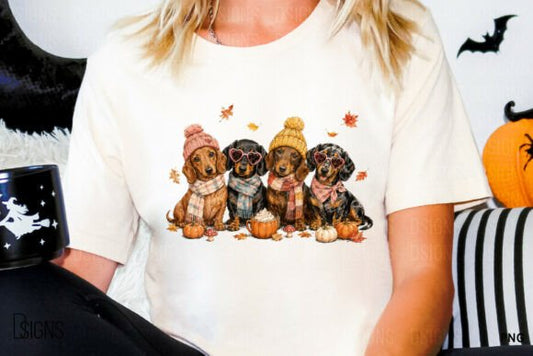 Fall Autumn Cute Dachshund Dog Lover